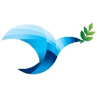 Cindrellas Collections